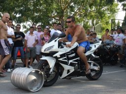 XVII Concentracion - 2010